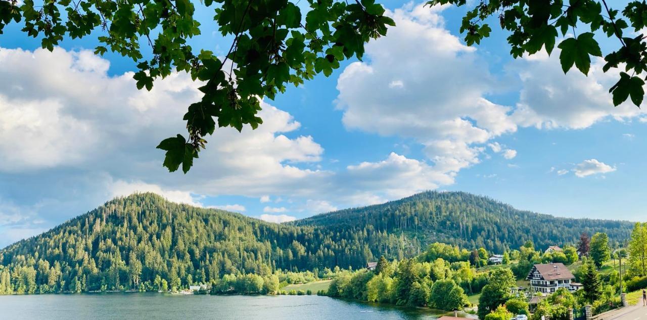 Le Chalet Au Bord Du Lac ジェラールメ エクステリア 写真